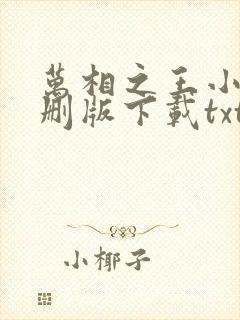 万相之王小说未删版下载txt