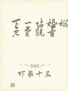 下一站婚姻34免费观看