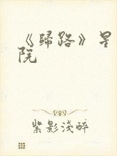 《归路》星辰影院封面