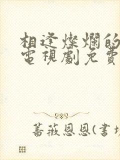 相逢灿烂的日子电视剧免费观看