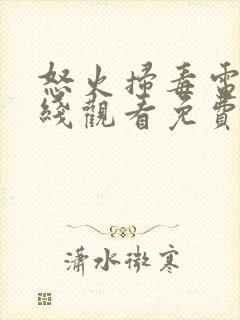 怒火扫毒电影在线观看免费高清国语