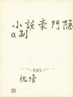 小说豪门隐婚aa制