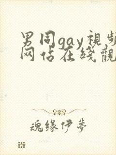 男同gay视频网站在线观看