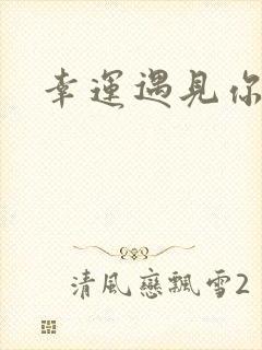 幸运遇见你歌词