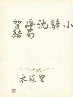 贺峥沈辞小说大结局