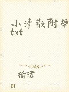 小清欢附带番外txt