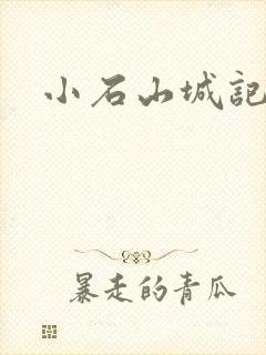 小石山城记