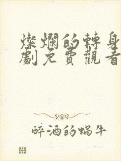 灿烂的转身电视剧免费观看完整版高清