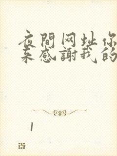 夜间网址你会回来感谢我的