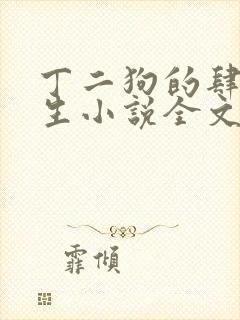 丁二狗的肆意人生小说全文听