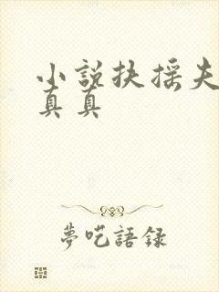 小说扶摇夫人柳真真