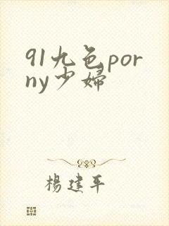 91九色porny少妇