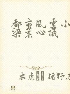 都市风云小说乔梁叶心仪