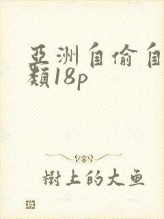 亚洲自偷自拍另类18p封面