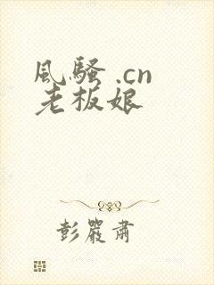 风骚 .cn 老板娘