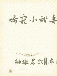 娇宠小甜妻封面