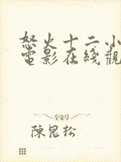 怒火十二小时 电影在线观看高清