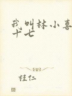 我叫林小喜今年十七
