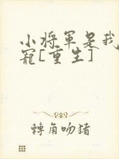 小将军是我心尖宠[重生]