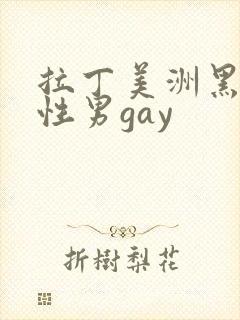 拉丁美洲黑人同性男gay