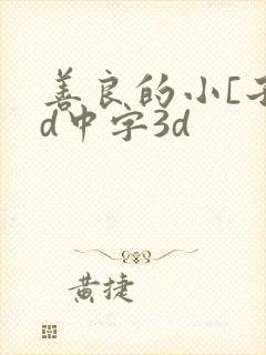 善良的小[子hd中字3d封面