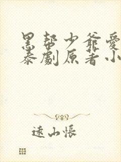 黑帮少爷爱上我泰剧原著小说