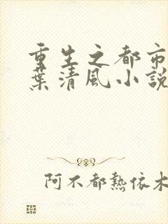 重生之都市仙尊叶清风小说