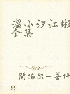 温小汐江彬小说全集