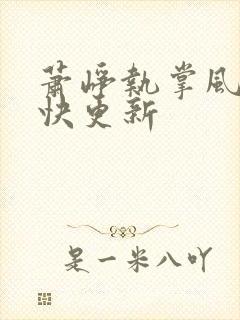 萧峥执掌风云最快更新