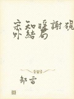 宋知暖谢砚京番外结局封面