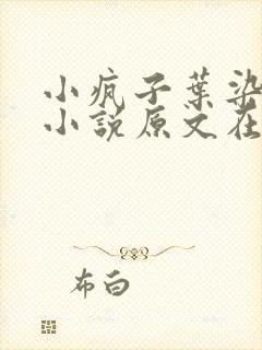 小疯子叶染安圭小说原文在线阅读