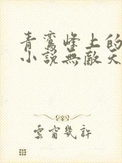 青鸾峰上的全部小说无敌天命封面
