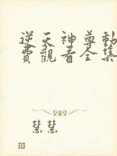 逆天神尊动漫免费观看全集完整版封面