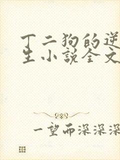 丁二狗的逆袭人生小说全文阅读