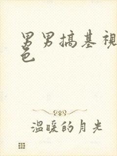 男男搞基视频黄色