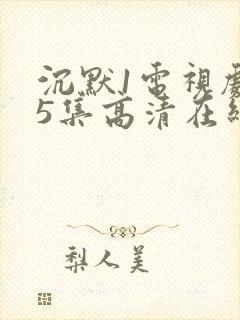 沉默1电视剧25集高清在线观看