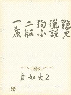 丁二狗猎艳人生原版小说免费阅读