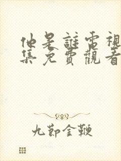 他是谁电视剧全集免费观看高清在线播放