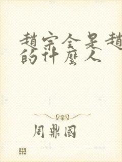 赵宗全是赵匡胤的什么人封面