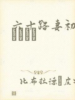 六十路妻初撮りドキュメ