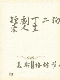 短剧丁二狗的逆袭人生封面