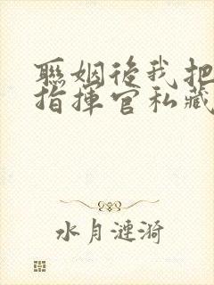 联姻后我把高冷指挥官私藏了