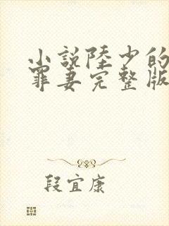 小说陆少的隐婚罪妻完整版