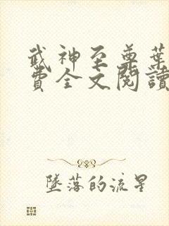 武神至尊叶风免费全文阅读无弹窗