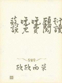 苏晚晚顾衍的小说免费阅读