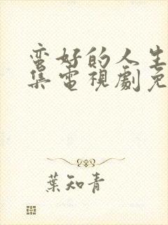 蛮好的人生32集电视剧免费观看