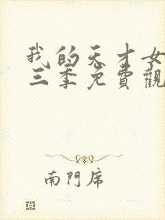 我的天才女友第三季免费观看