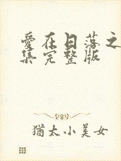 爱在日落之前全集完整版封面