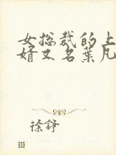 女总裁的上门女婿又名叶凡