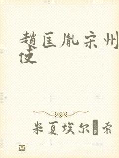 赵匡胤宋州节度使